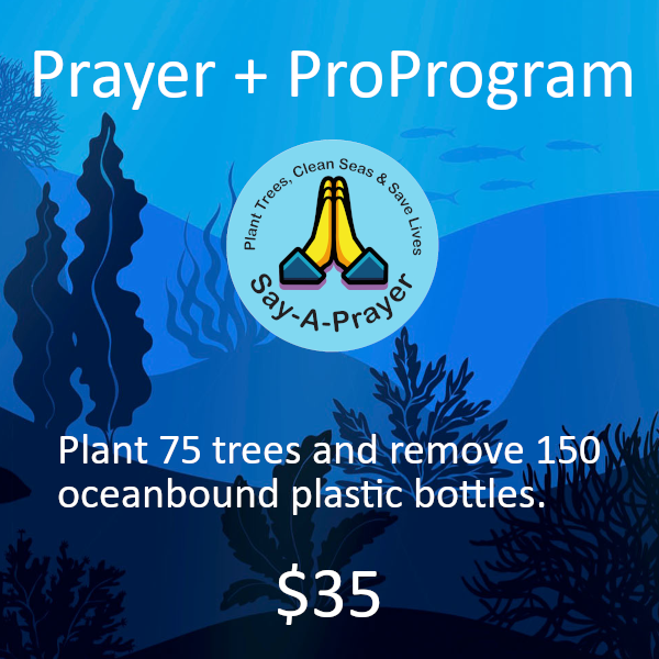 Prayer Hands Planet Program